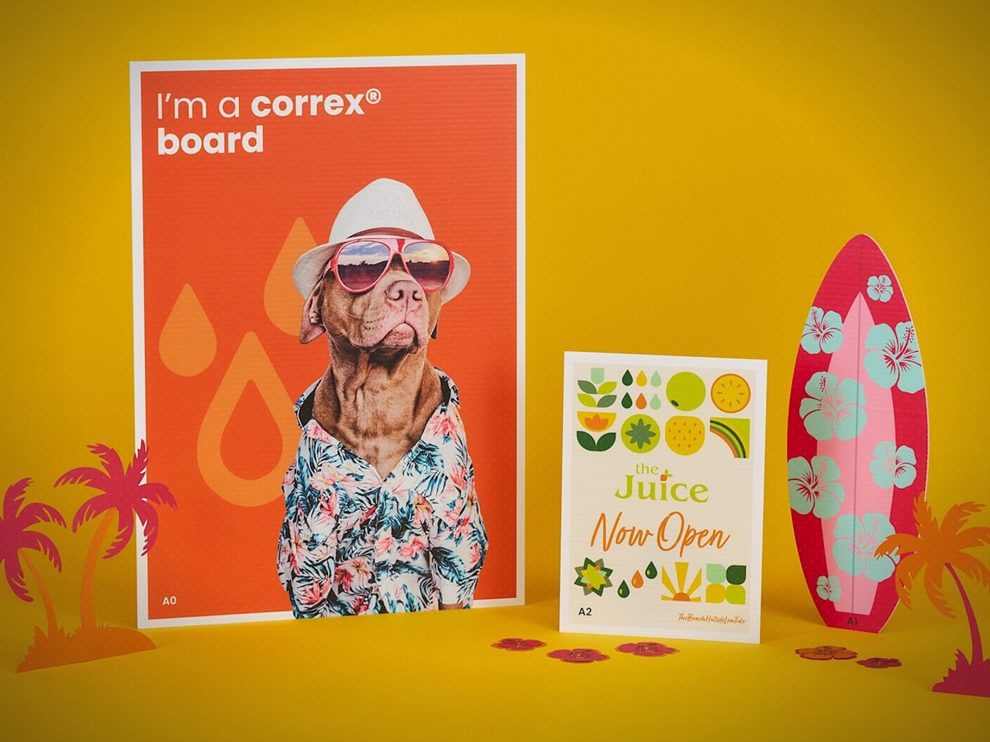 Correx Board